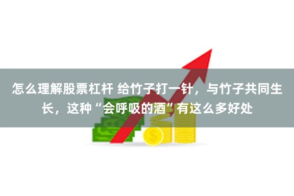 怎么理解股票杠杆 给竹子打一针，与竹子共同生长，这种“会呼吸的酒”有这么多好处