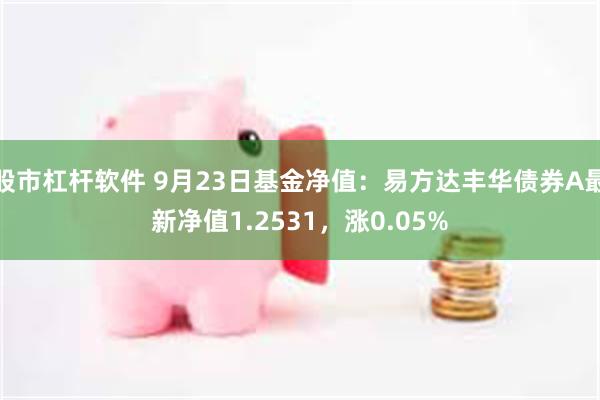 股市杠杆软件 9月23日基金净值：易方达丰华债券A最新净值1.2531，涨0.05%