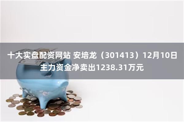 十大实盘配资网站 安培龙（301413）12月10日主力资金净卖出1238.31万元