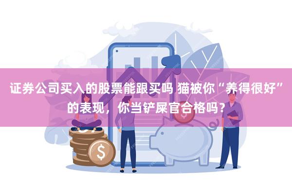 证券公司买入的股票能跟买吗 猫被你“养得很好”的表现，你当铲屎官合格吗？